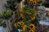 dsc_9219_small.jpg