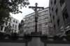 dsc_9234_small.jpg