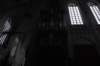 dsc_9262_small.jpg
