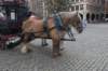 dsc_9323_small.jpg
