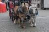 dsc_9324_small.jpg
