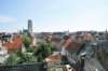 d110820k_0334_small.jpg