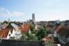 d110820k_0335_small.jpg