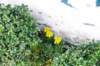 d110820k_0504_small.jpg