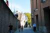 d110820k_0526_small.jpg