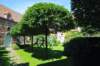 d110820k_0527_small.jpg