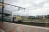 d110821k_0039_small.jpg