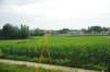 d110821k_0044_small.jpg