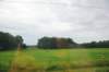d110821k_0049_small.jpg