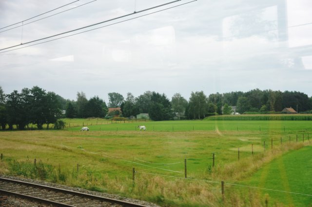 d110821k_0056.jpg