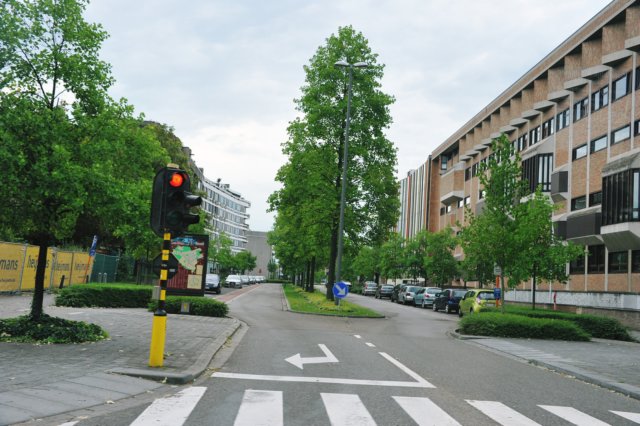 d110821k_0077.jpg