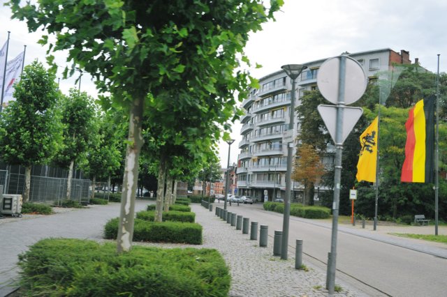 d110821k_0079.jpg