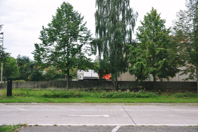 d110821k_0083.jpg