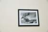 d110821k_0140_small.jpg