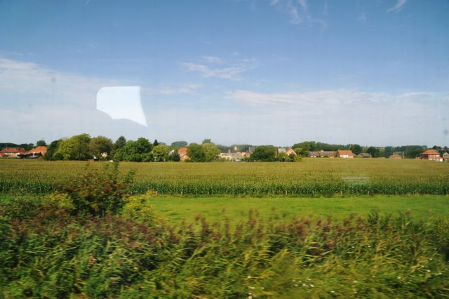 d110821k_0470.jpg