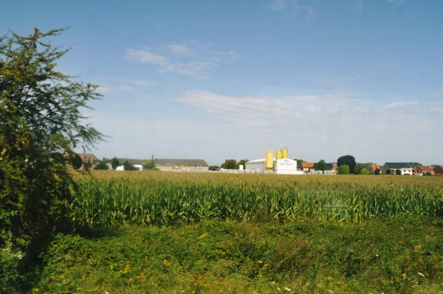 d110821k_0478.jpg