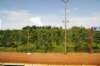 d110821k_0484_small.jpg