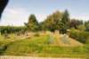 d110821k_0486_small.jpg