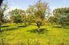 d110821k_0489_small.jpg