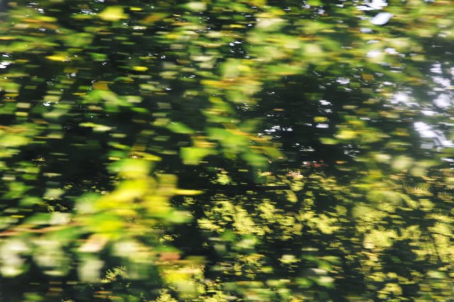 d110821k_0490.jpg