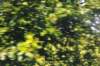d110821k_0490_small.jpg