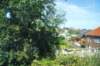 d110821k_0498_small.jpg