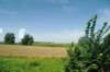 d110821k_0504_small.jpg