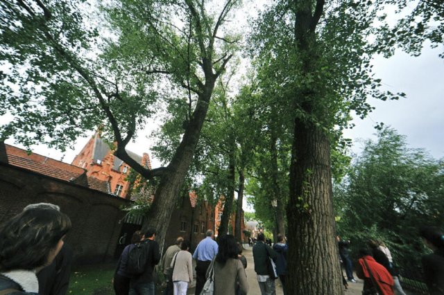 d110826k_0092.jpg