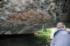d110826k_0214_small.jpg