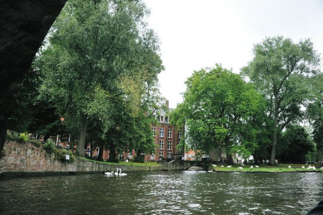 d110826k_0226.jpg