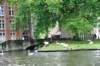 d110826k_0227_small.jpg