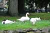d110826k_0229_small.jpg