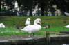 d110826k_0230_small.jpg