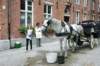 d110826k_0516_small.jpg