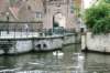 d110826k_0524_small.jpg