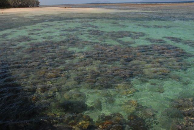 dsc_0689.jpg