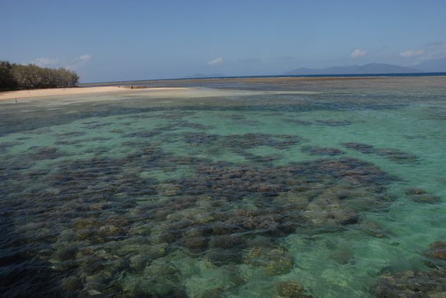 dsc_0690.jpg