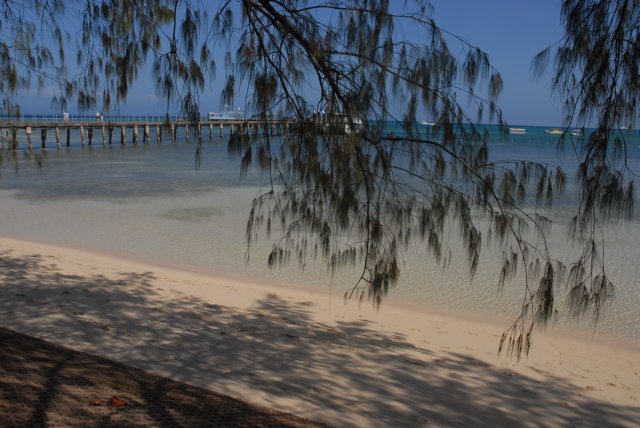 dsc_0701.jpg