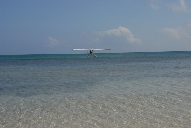 dsc_0708.jpg