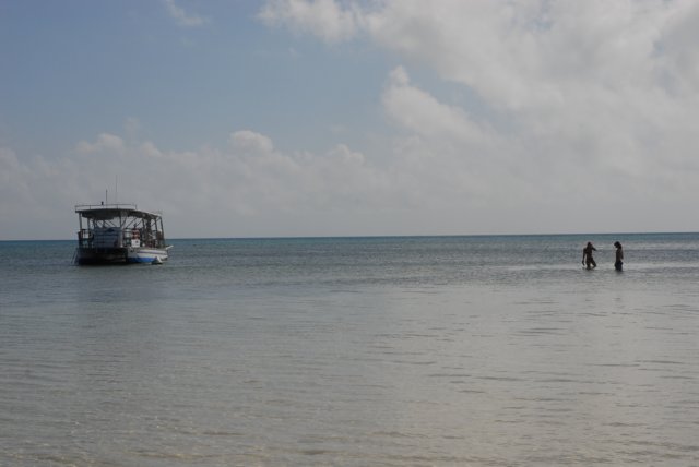 dsc_0709.jpg