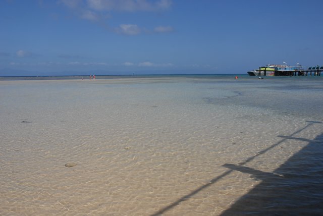 dsc_0711.jpg