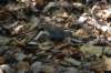 dsc_0714_small.jpg