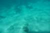 dsc_0726_small.jpg