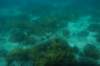 dsc_0727_small.jpg