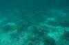 dsc_0729_small.jpg