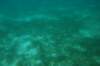 dsc_0734_small.jpg