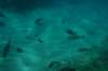 dsc_0736_small.jpg