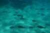 dsc_0737_small.jpg