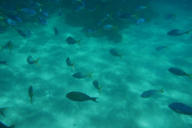 dsc_0738.jpg