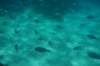 dsc_0738_small.jpg